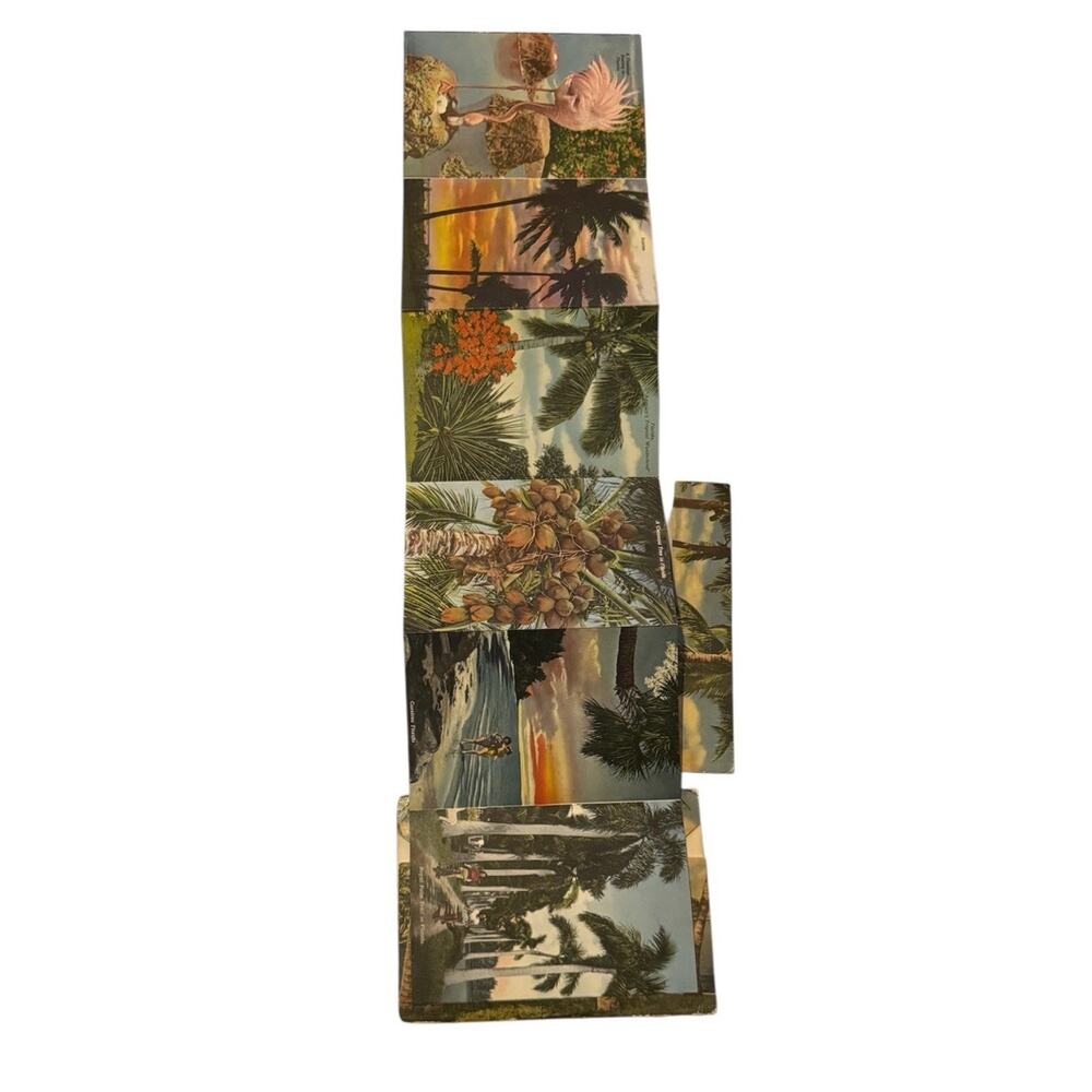 VTG Souvenir Of Tropical Florida Fold Out Postcards Flamingo Orange Picking READ